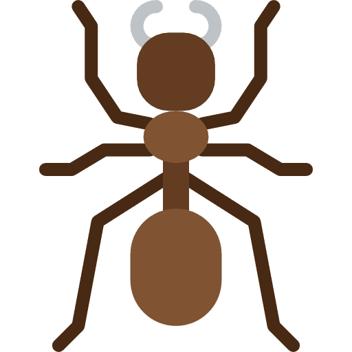 ant