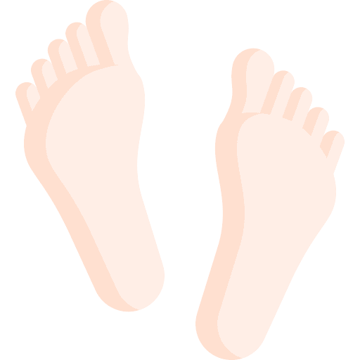 footprint (1)