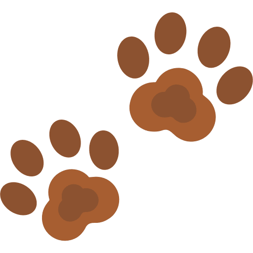 footprint