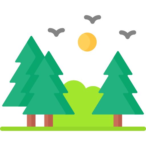 forest