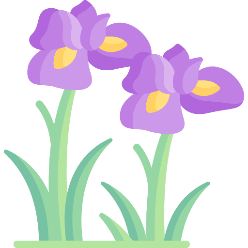 iris