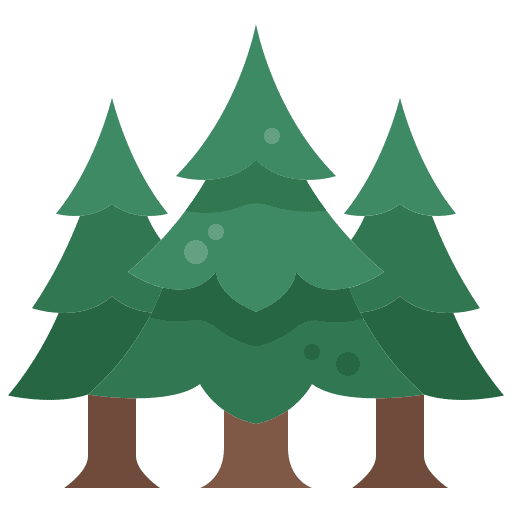 pine-tree