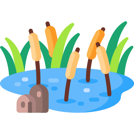 pond